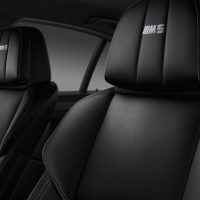 2016 BMW M5 Competition Edition Front Seat Headrests