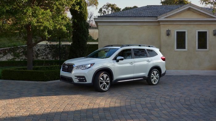 2019 Ascent Limited 2