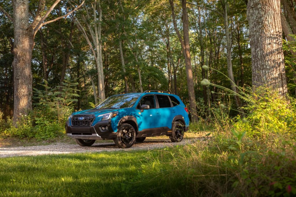 2022 Subaru Forester Vahşi Yaşamı