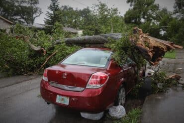 a car damaged by a fallen tree following severe weather that is part of why some car insurance companies are leaving florida
